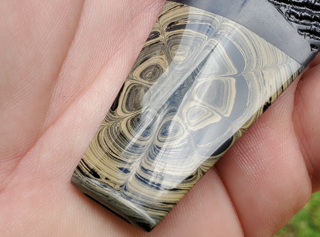 SOLD - 10th Anniversary Cardinal House Munn Blade-shank Pocket Bulldog 1021 - Image 5